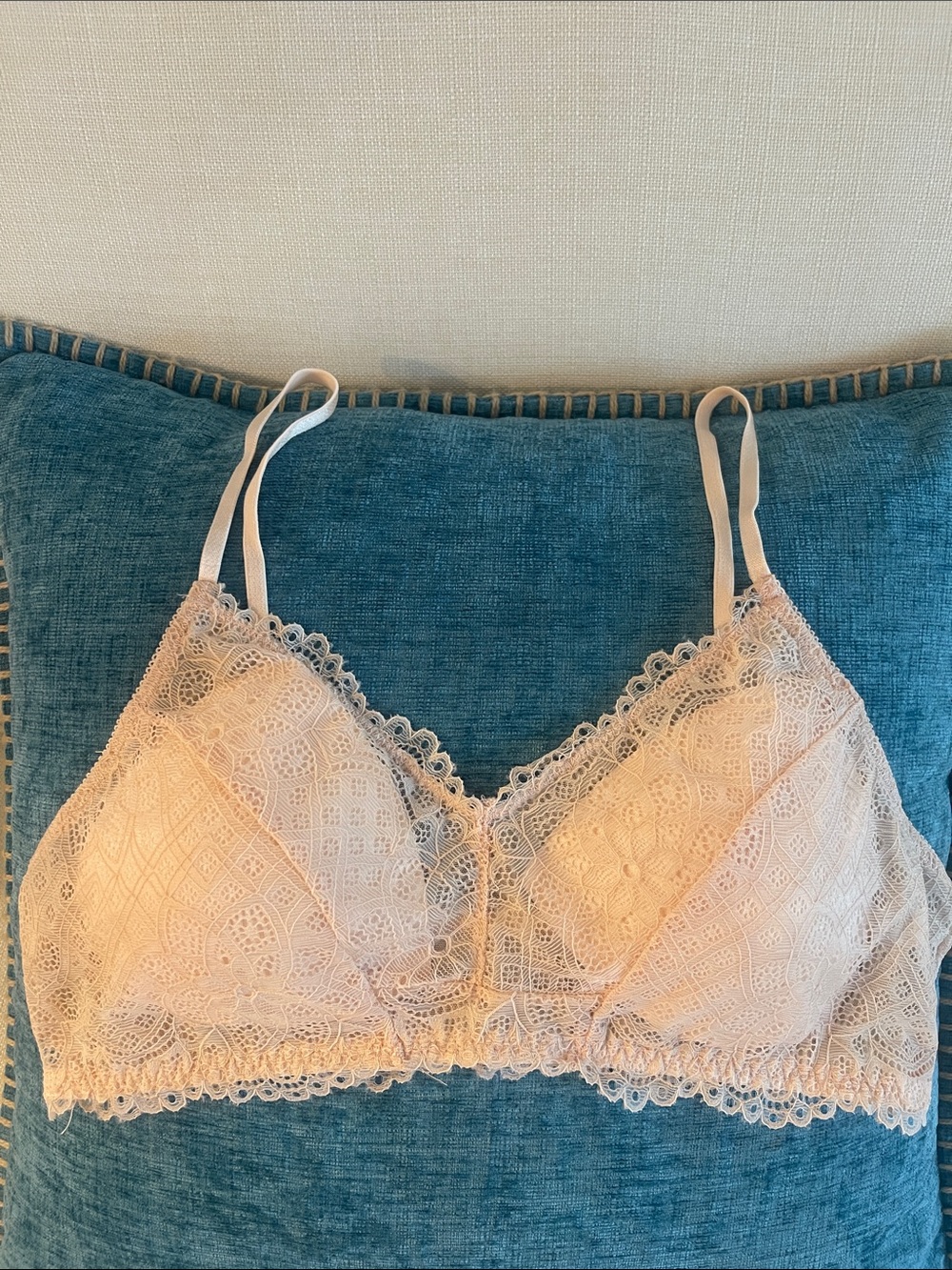 free press Delicate Lace Bralette in Blush